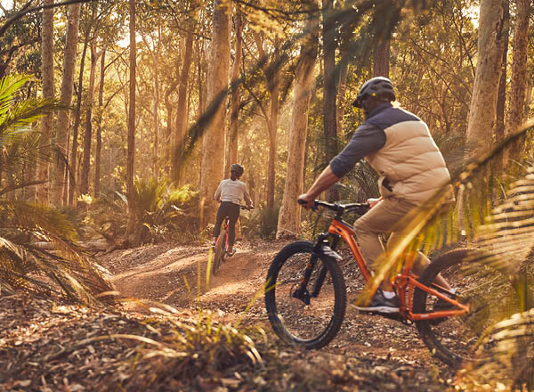 Cyclists in the forest at South Durras