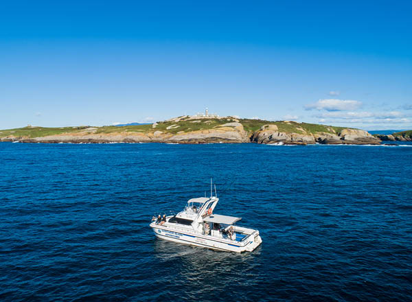 Charter boat at Montague Island