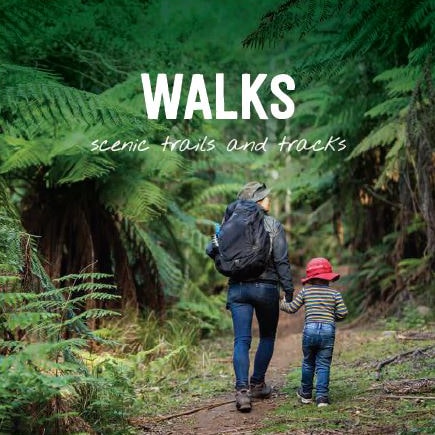 Walks brochure cover