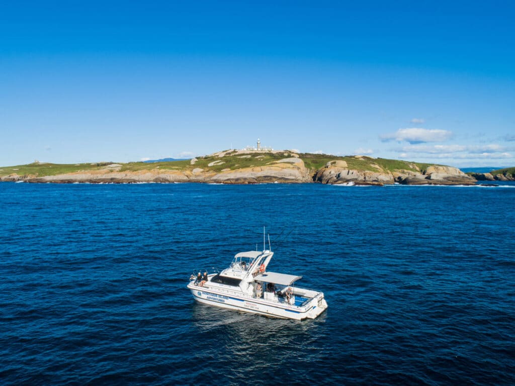 Montague Island Boat Tours