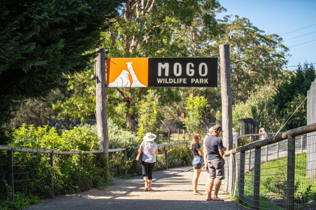 Mogo Wildlife Park