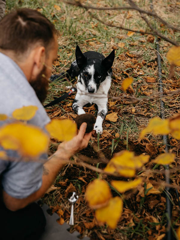 Paul West with truffle dog