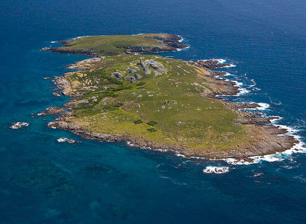 Aerial view of Montague Island