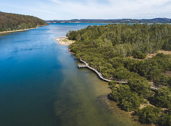 Aerial view of the boardwalk at Cullendulla mangroves