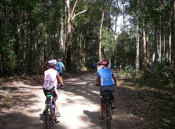 Cycling in local forests