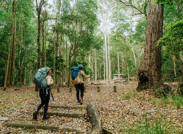 Bushwalking in Murramarang National Park