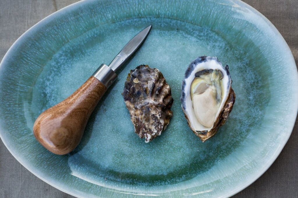 Oysters on a plate, Narooma