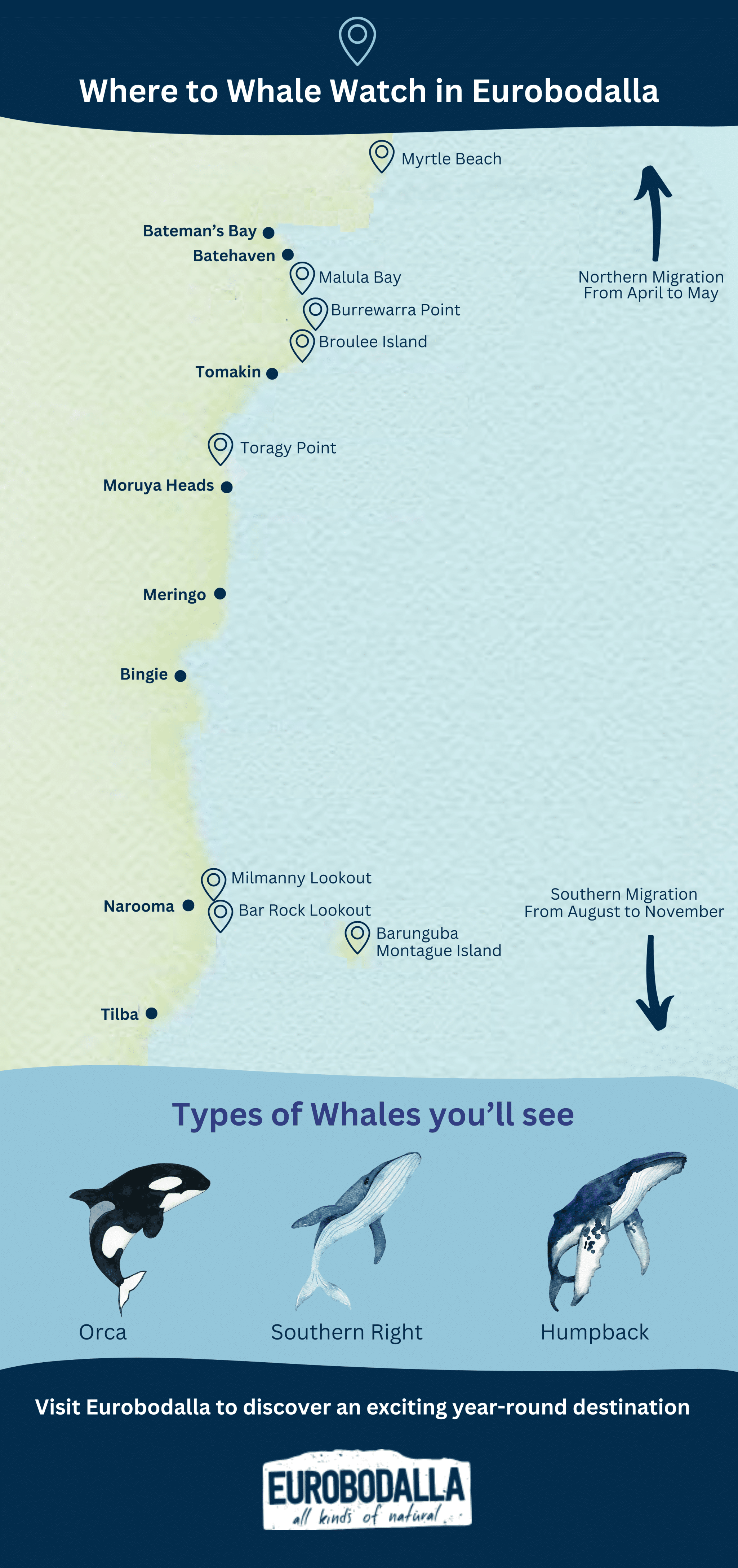 Infographic - Best Whale Watching Spots in Eurobodalla