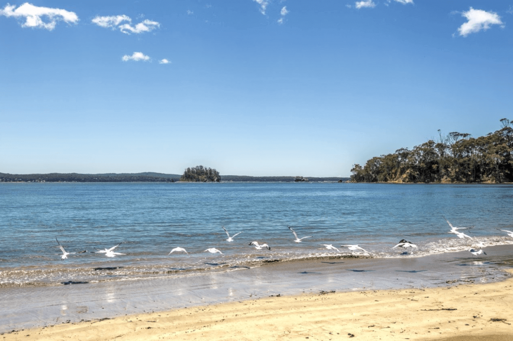 View to Snapper Island from Corrigans Beach, Batemans Bay